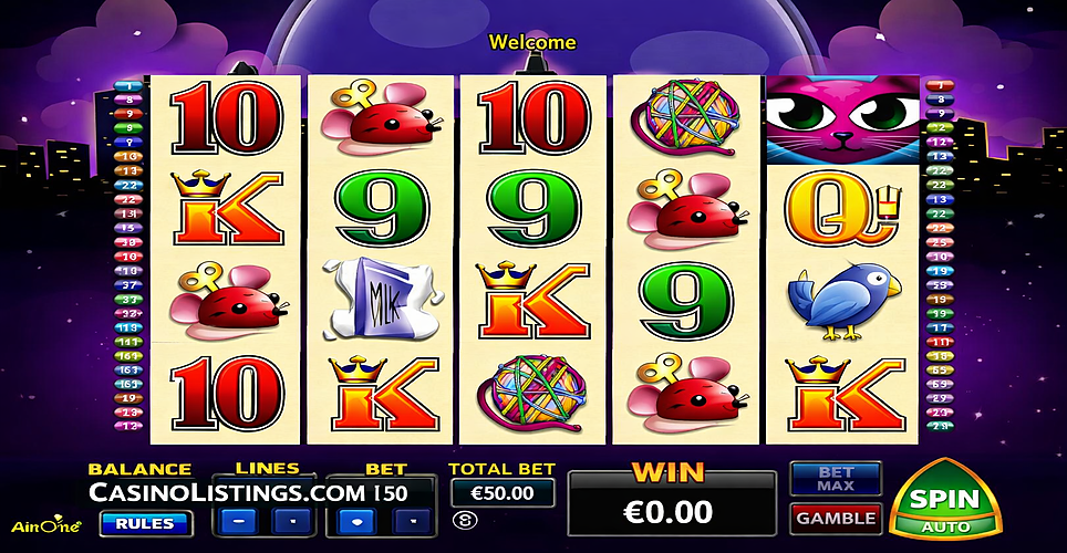 Miss Kitty Slot Reels